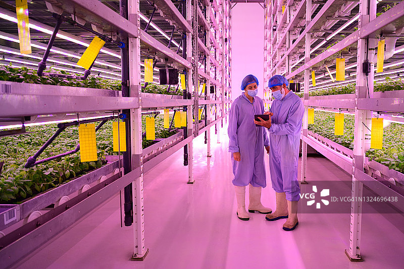 疫情期间讨论数据的农业专家图片素材