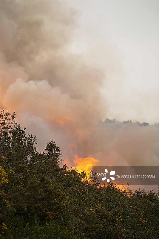 野火图片素材