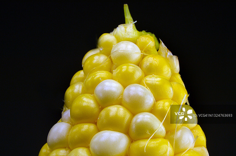 玉米棒图片素材