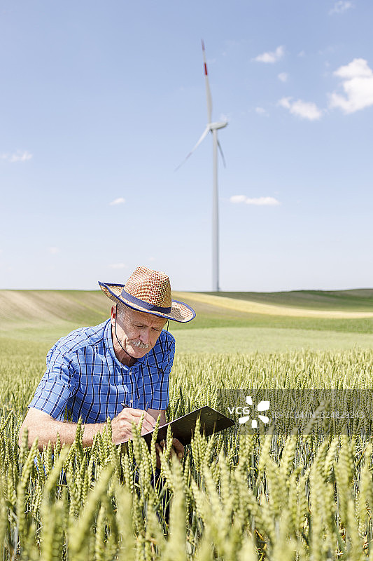 农民仔细察看农作物并做记录图片素材