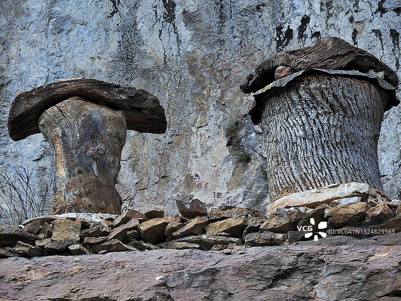 西班牙卡斯蒂利亚-莱昂狼河峡谷的古代蜂房图片素材