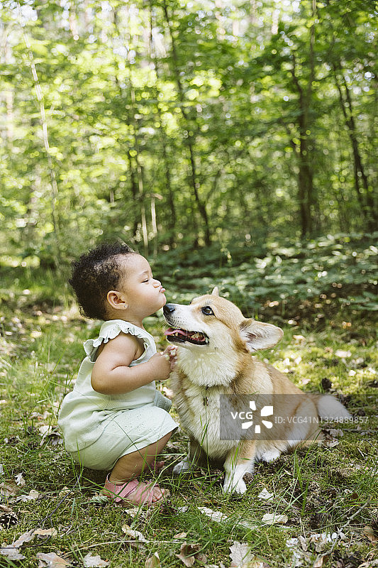 无忧无虑的夏日：快乐的女婴和小狗在自然中玩耍图片素材