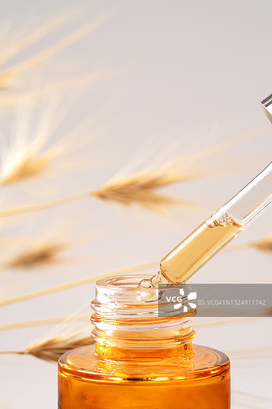 麦穗或燕麦和米色背景上的面部精华或精油移液管特写图片素材