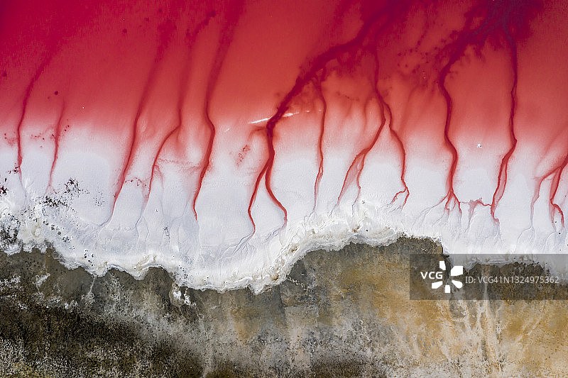 粉红色盐湖的图案航拍景观：哈特泻湖图片素材