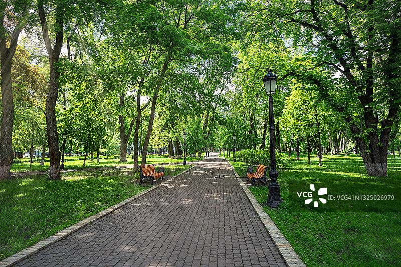 春日绿色城市公园中的小路图片素材