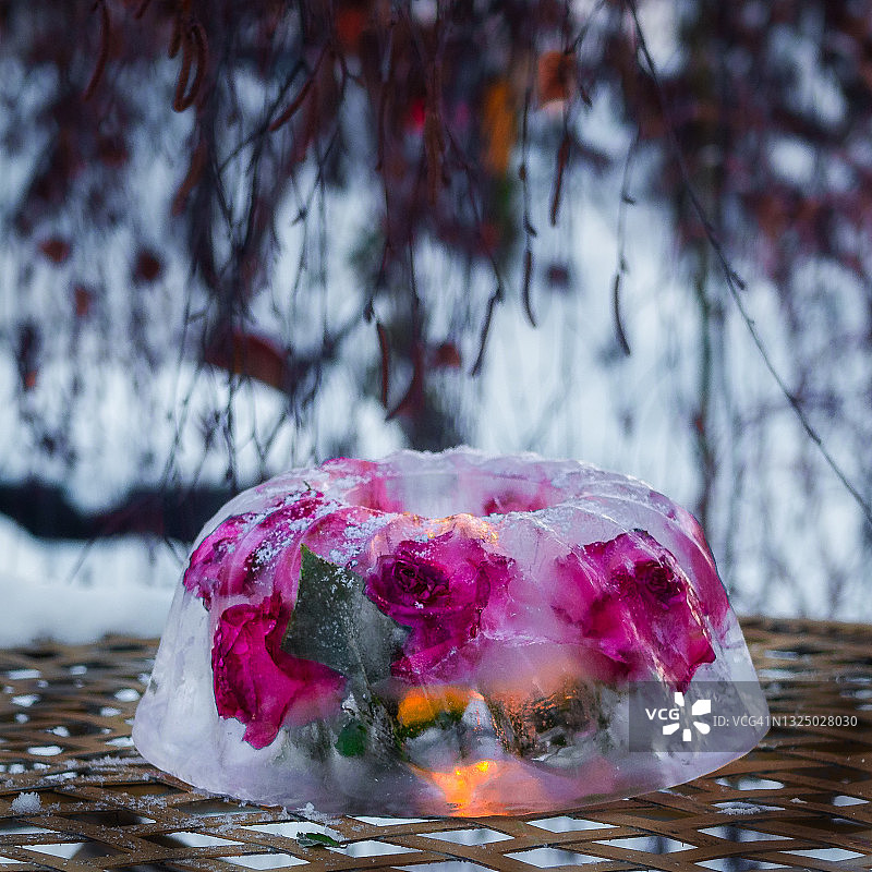 静物：冰冻水中的玫瑰图片素材