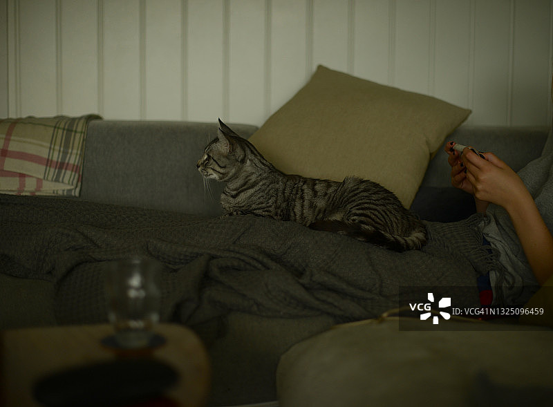 一个女孩坐在沙发上，手里拿着游戏机，膝盖上放着一只猫图片素材