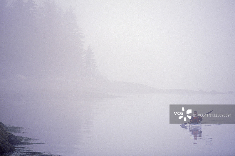 男子在美国缅因州马斯孔格斯湾的晨雾中划船图片素材