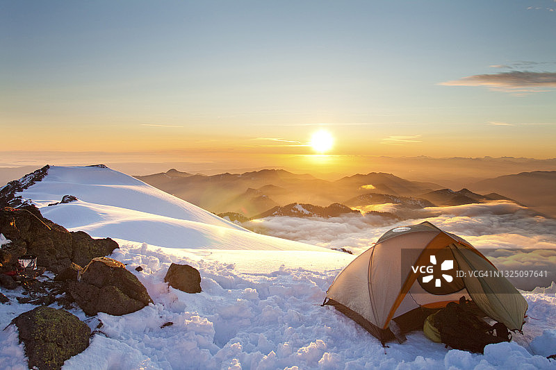 攀爬木制凉亭上的粉色玫瑰特写图片素材