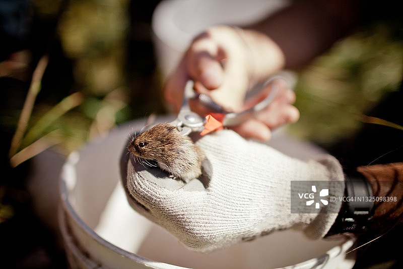 田野调查图片素材