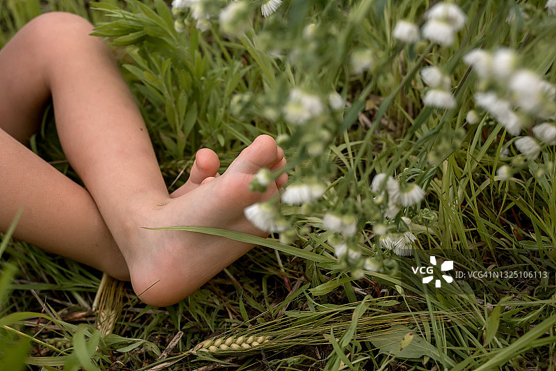 长满甘菊的草地上的赤脚图片素材
