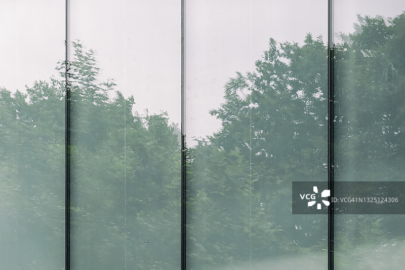 玻璃幕墙上反射的树木图片素材