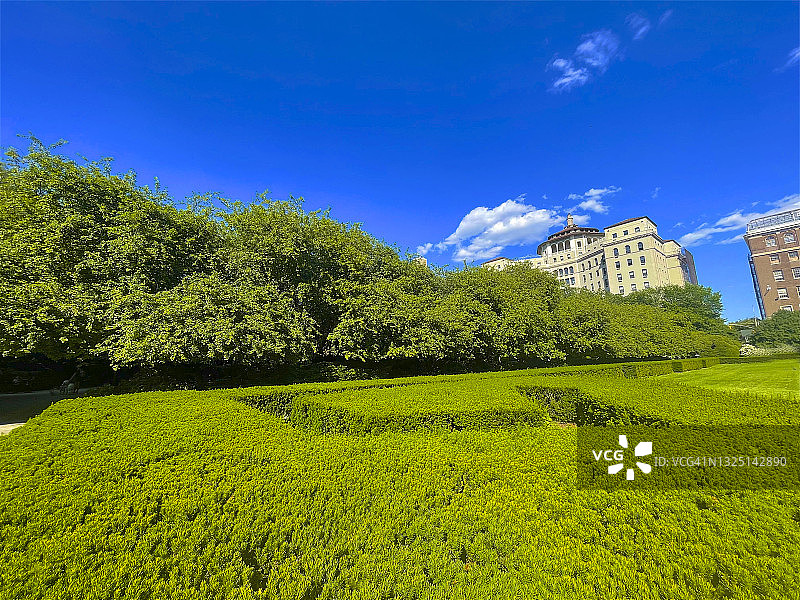 纽约温室花园的红豆杉树篱和海棠树图片素材