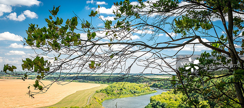 夏季风景：美丽的顿河，高高的沙丘和森林，俄罗斯沃罗涅日州图片素材
