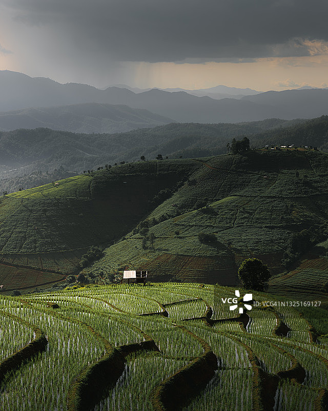 泰国清迈府湄占村的梯田图片素材