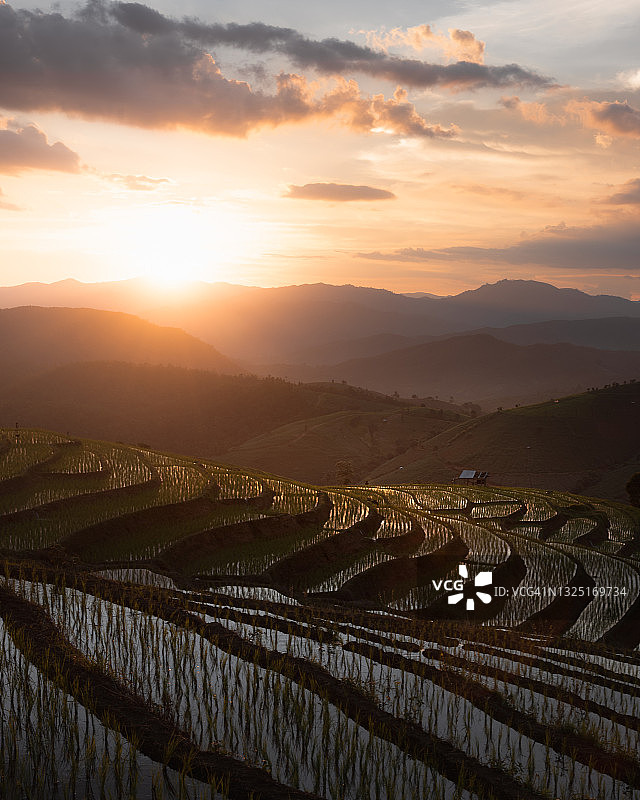 泰国清迈府湄占村的梯田图片素材