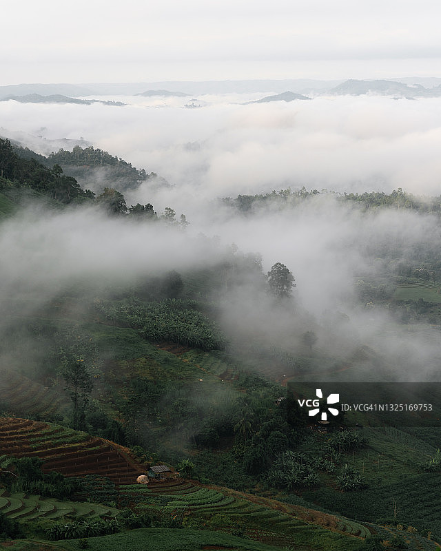 泰国清迈府湄占村的梯田图片素材