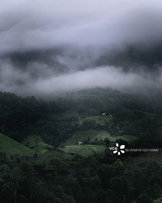泰国清迈府湄占村的梯田图片素材