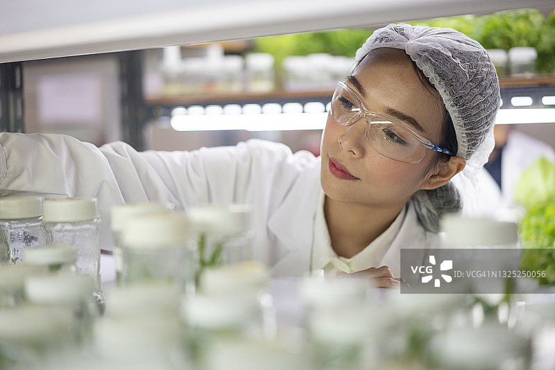 亚洲科学家在实验室检查植物图片素材
