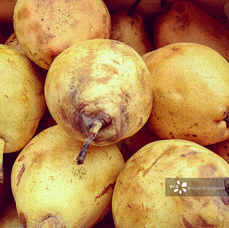 黄色梨的图像图片素材