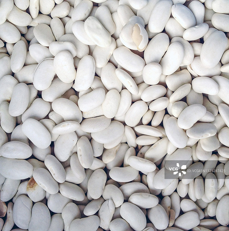 白豆纹理图片素材