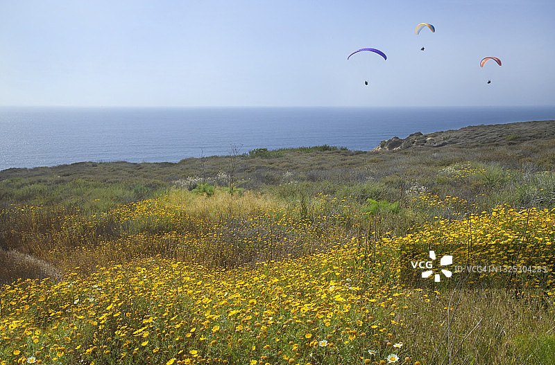 眺望海面上方的三架滑翔伞图片素材