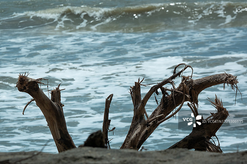 从树上砍下的干燥树干，海浪拍打着海岸，多云寒冷的天空图片素材