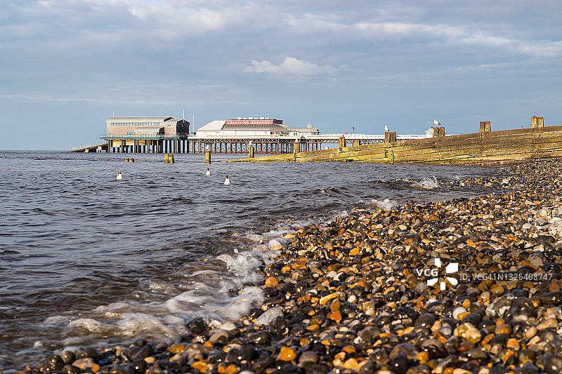 克罗默海面上漂浮的海鸥图片素材