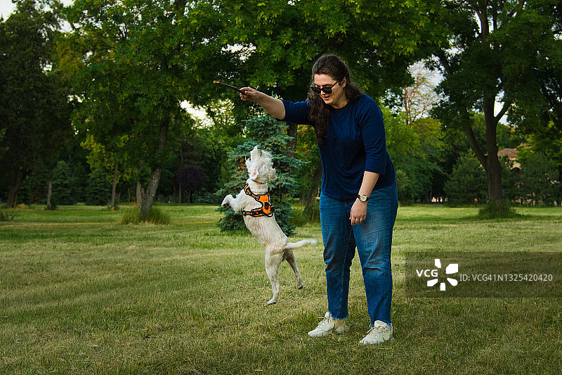 和小狗玩耍图片素材