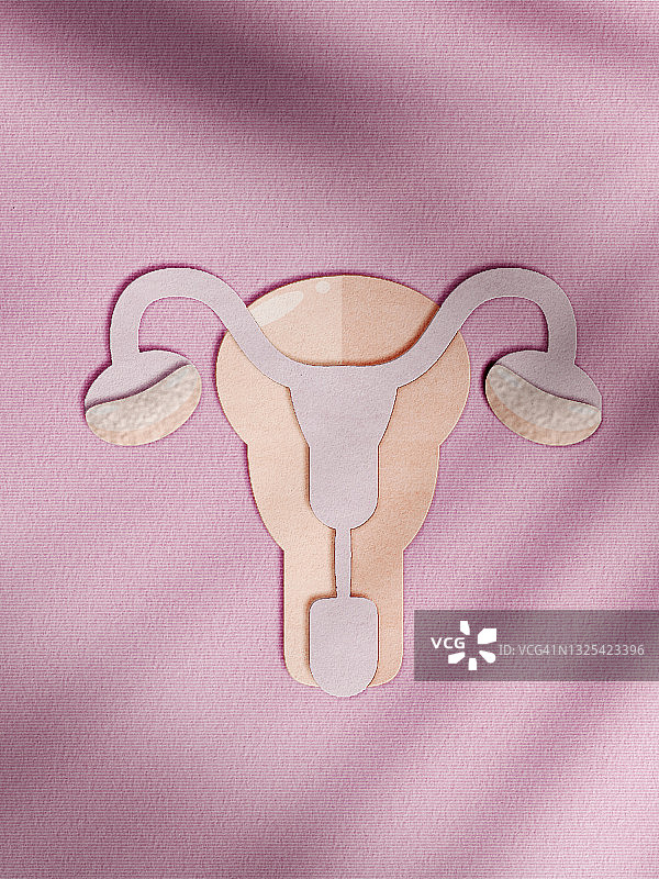 纸质子宫模型，粉色背景图片素材