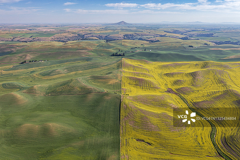 油菜田和麦田的鸟瞰图，背景是斯特普托比尤特图片素材
