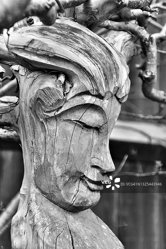 花园之魂图片素材