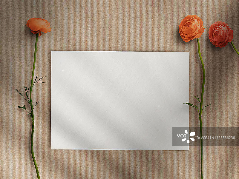 花丛阳光下的空白纸卡样机图片素材