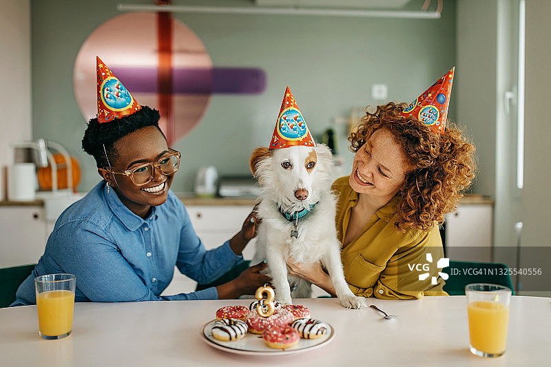 两个朋友为狗狗庆祝生日图片素材