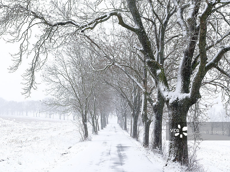 冬天的景色图片素材