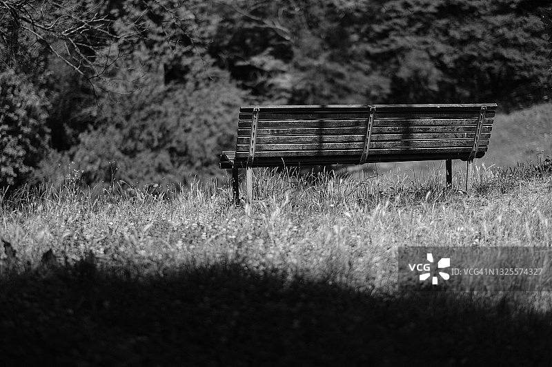 绿植环绕的公园长椅图片素材