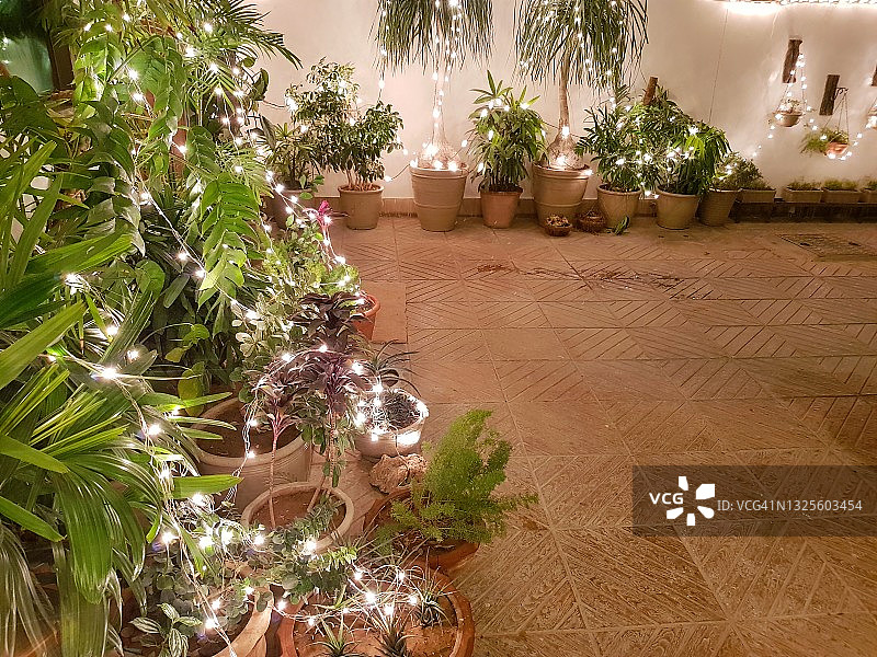 用电灯装饰的植物图片素材