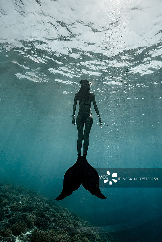 美人鱼鳍自由潜水员在水下图片素材