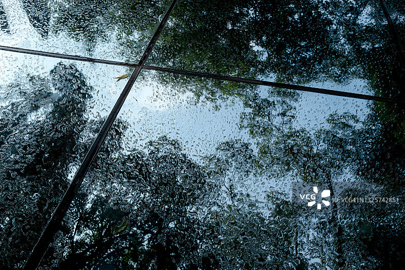 湿润镜面上的茂盛树林倒影图片素材