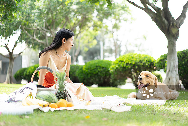 年轻漂亮的亚洲女性看着草地上的金毛寻回犬图片素材
