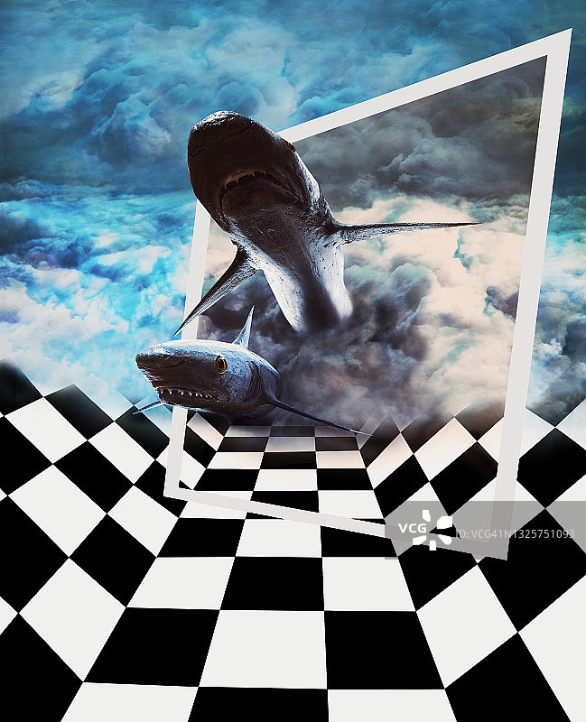 鲨鱼袭击图片素材