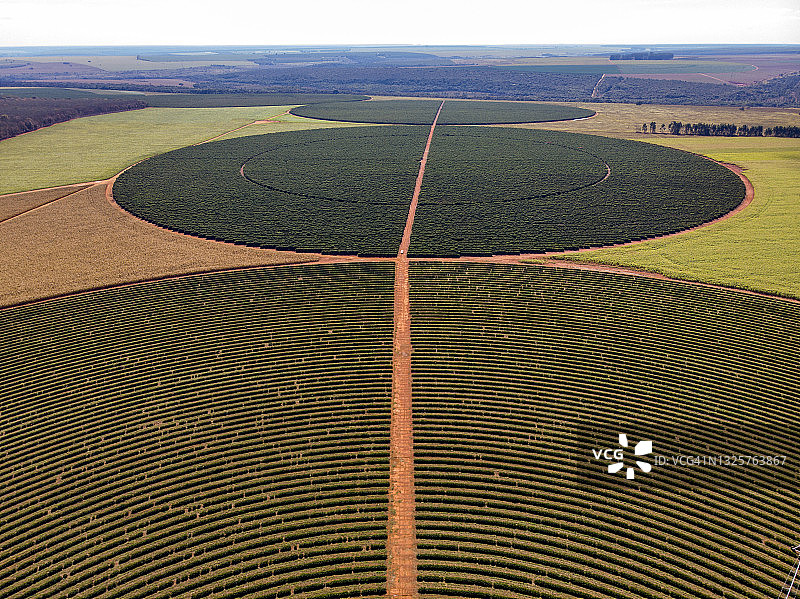 咖啡种植园的灌溉设备图片素材