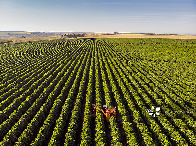 咖啡联合收割机图片素材