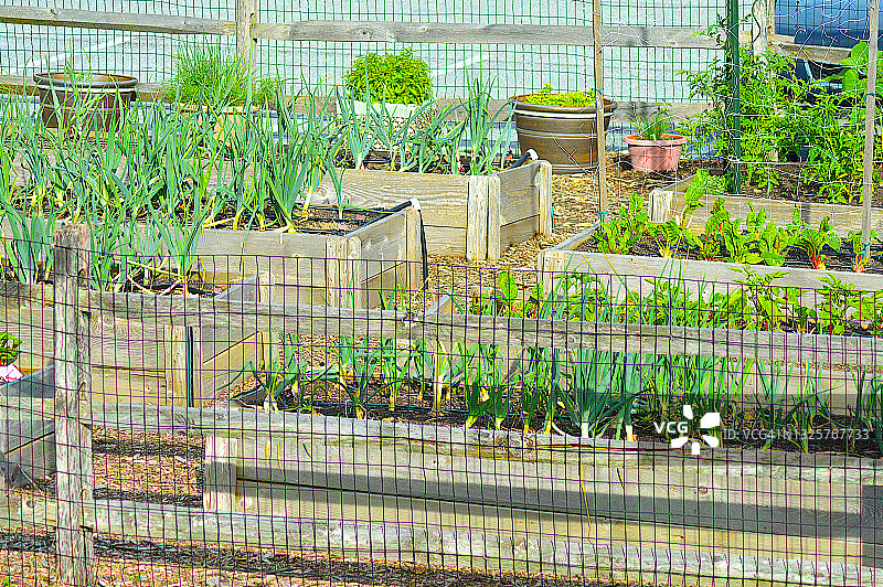 费城社区花园图片素材