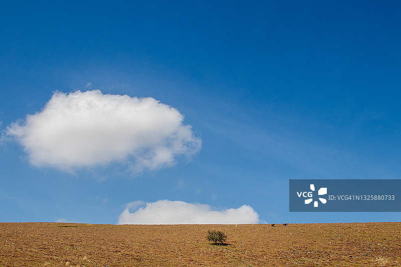 达特穆尔小马图片素材