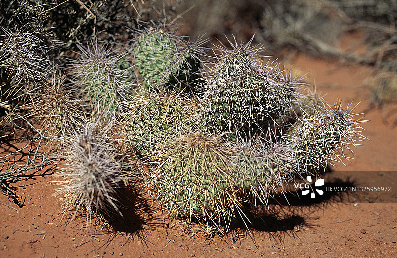 纪念碑谷图片素材