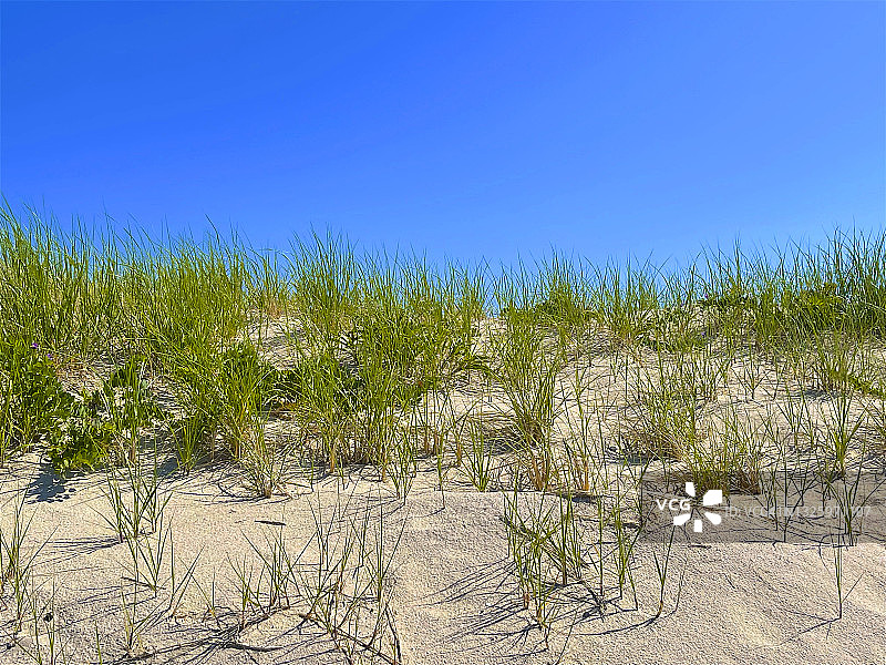 沙丘，布里奇汉普顿图片素材