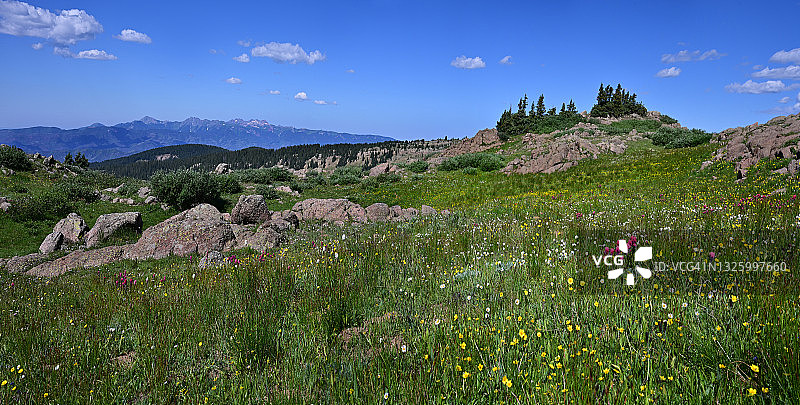 野花、岩石和圣胡安山脉图片素材