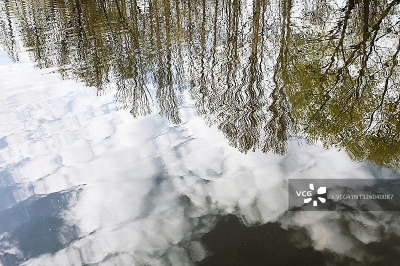 水中倒映的绿树图片素材