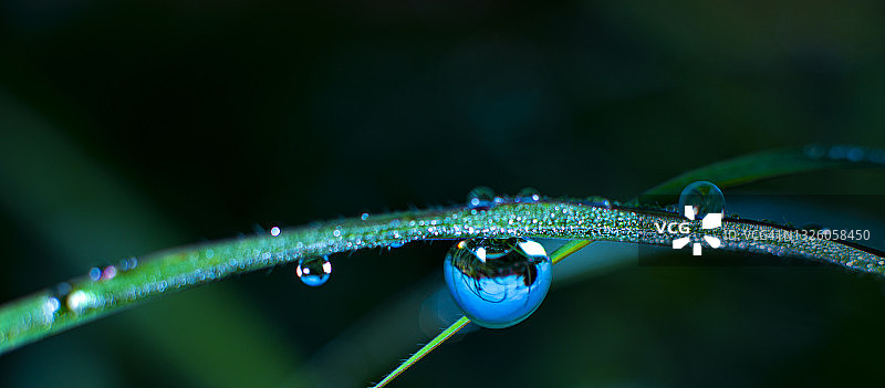 阳光下绿叶上美丽逆光中的大水滴，具有美丽圆形散景的微距摄影，纯净自然的艺术图像图片素材